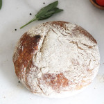 no knead rye bread