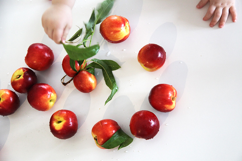 nectarine and mint puree for baby