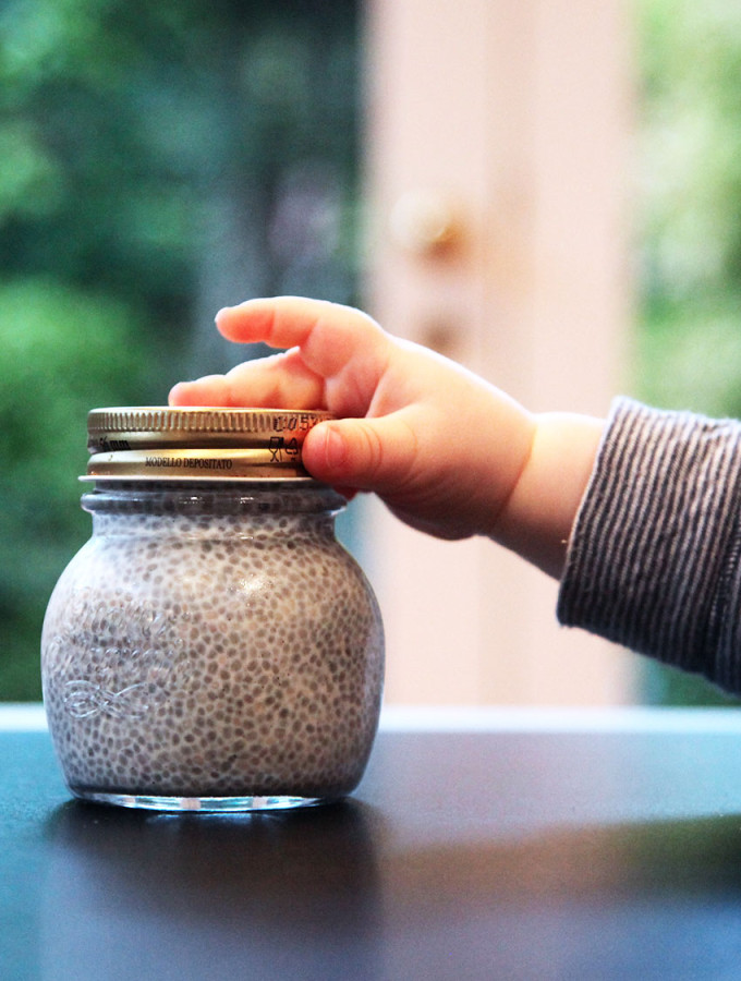 chia pudding - only 3 ingredients - perfect baby food from 6 months