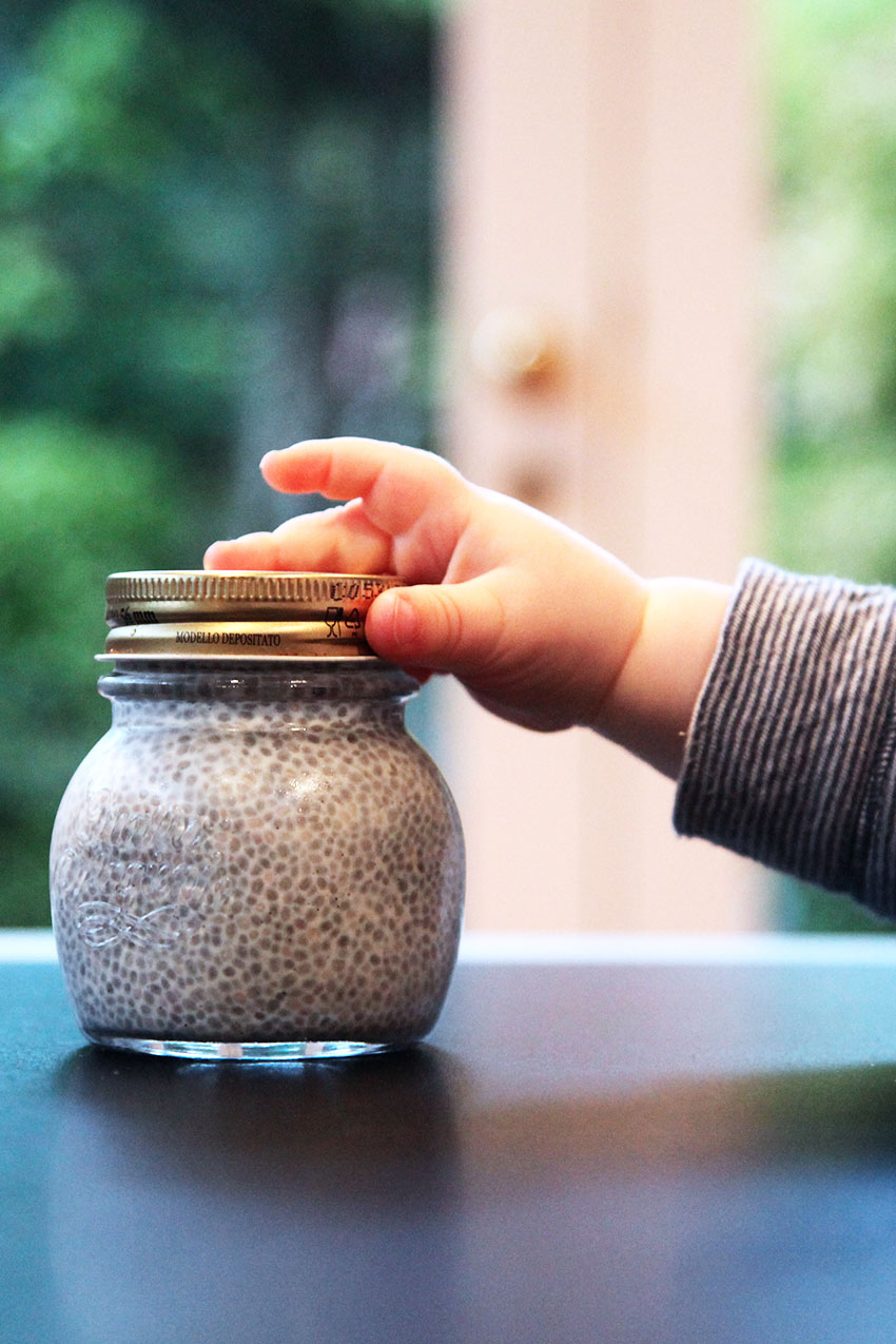 chia pudding - only 3 ingredients - perfect baby food from 6 months